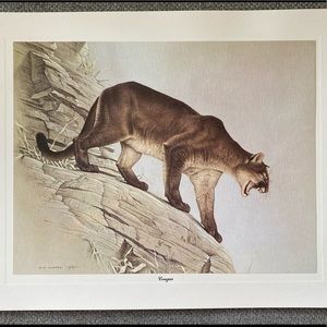 M.G. Loates prints, ca. 1967